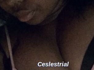 Ceslestrial