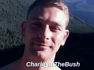 CharleyInTheBush Safer Sex