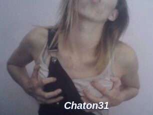 Chaton31