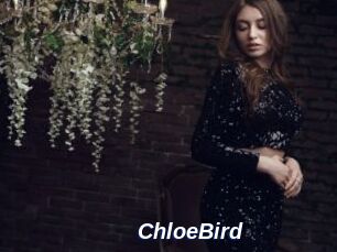 ChloeBird