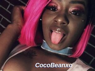 CocoBeanxo