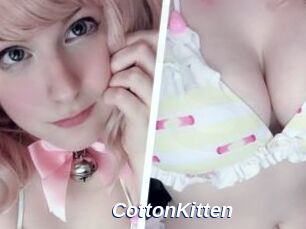 CottonKitten