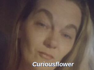 Curiousflower