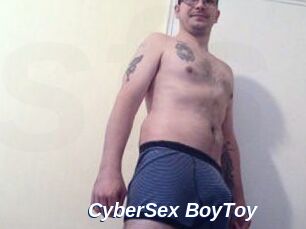 CyberSex_BoyToy