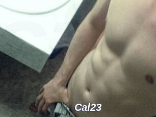 Cal23