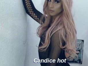 Candice_hot