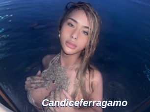 Candiceferragamo