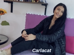 Carlacat