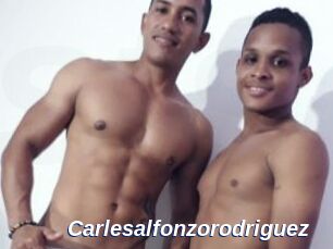 Carlesalfonzorodriguez