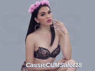 CassieCUMSalot18