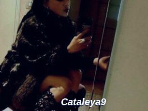 Cataleya9