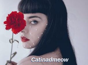 Catinadmeow