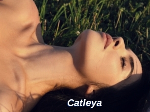 Catleya