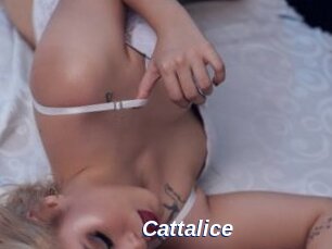 Cattalice