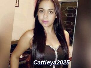 Cattleya2025