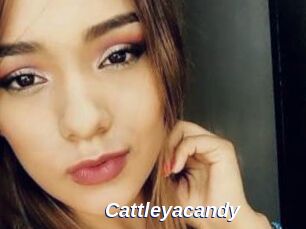 Cattleyacandy