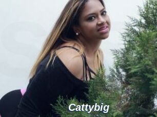 Cattybig