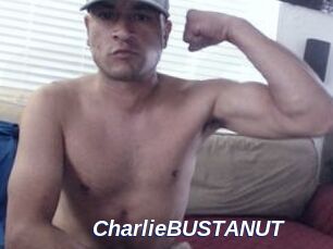 CharlieBUSTANUT