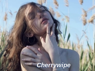 Cherrywipe