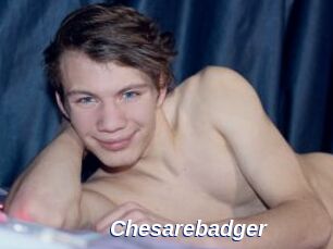 Chesarebadger