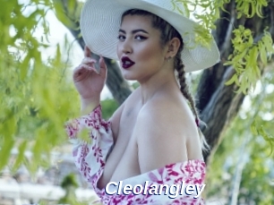 Cleolangley