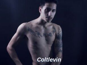 Coltlevin