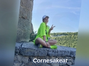 Cornesakeat