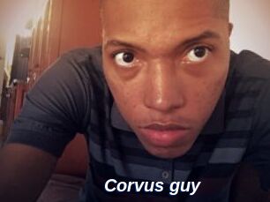 Corvus_guy