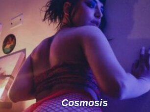 Cosmosis