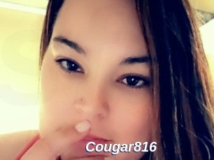 Cougar816