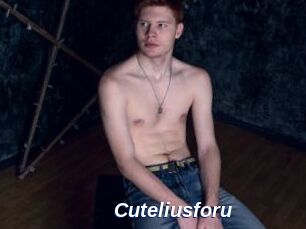 Cuteliusforu