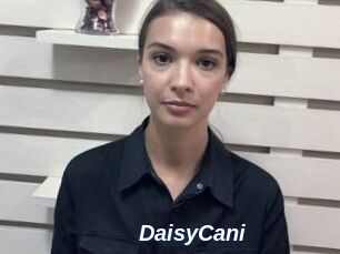 DaisyCani