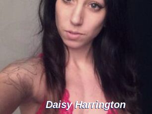 Daisy_Harrington