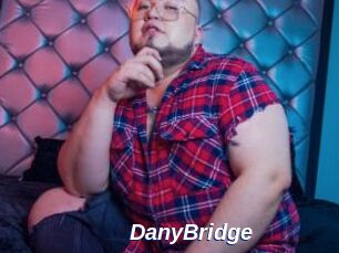 DanyBridge