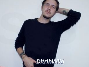 DitrihWild