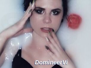 DomineerVi