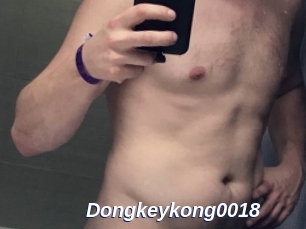 Dongkeykong0018