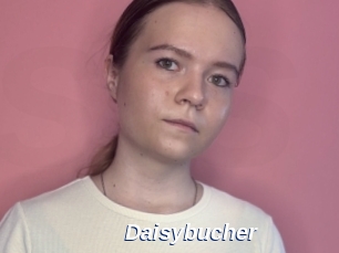 Daisybucher