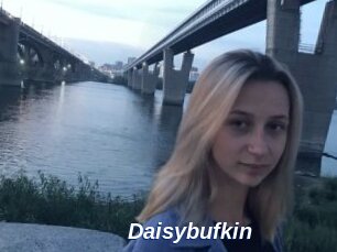 Daisybufkin