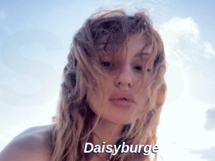 Daisyburge