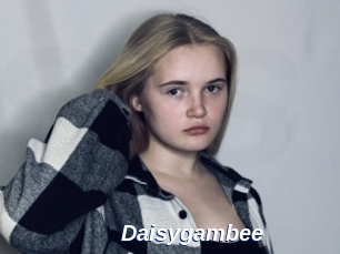 Daisygambee