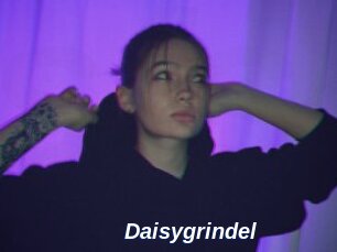 Daisygrindel