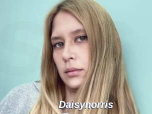 Daisynorris