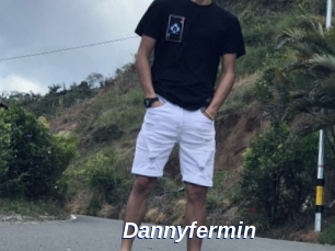 Dannyfermin