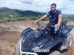 Darioo