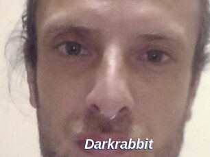 Darkrabbit