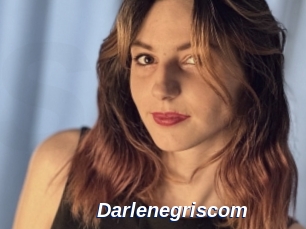 Darlenegriscom