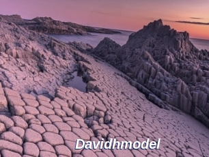 Davidhmodel