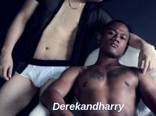 Derekandharry