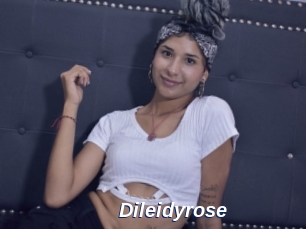 Dileidyrose